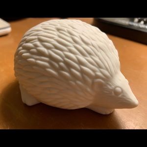 Hedgehog night light gift